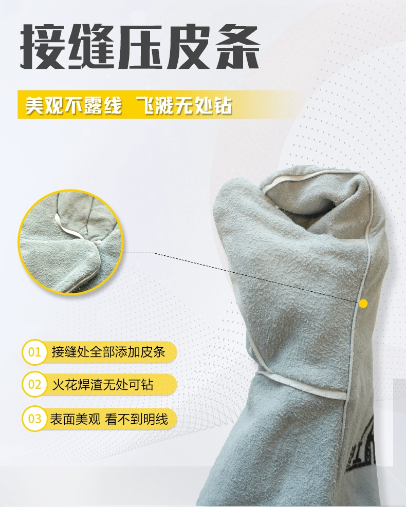 AG真人国际(中国)官方网站